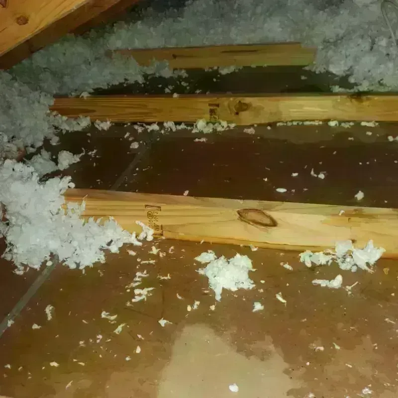 Attic Water Damage in Shorewood Forest, IN