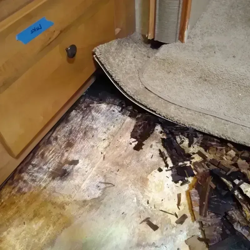 Wood Floor Water Damage in Shorewood Forest, IN